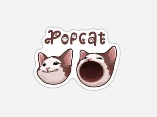 仮想通貨Popcat(ポップキャット)とは？特徴や今後の見通し・価格予想を徹底解説