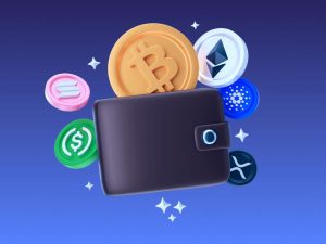 Krypto-Wallet mit Bitcoin, Ethereum, Ripple und anderen Kryptowährungen 2025