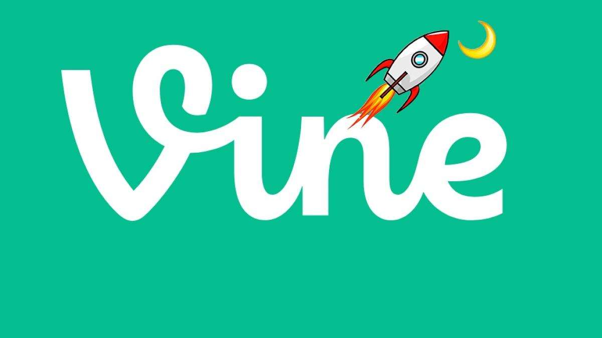 VINE 바인 코인