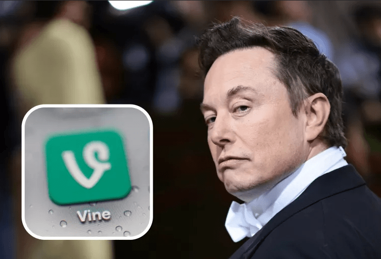 VINE 코인 일론 머스크