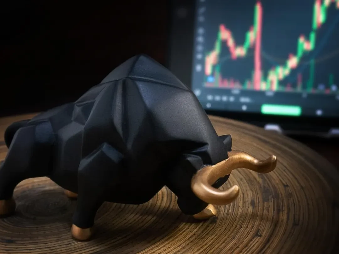 Bullenmarkt 2025: Diese 7 Zeichen darfst du nicht übersehen