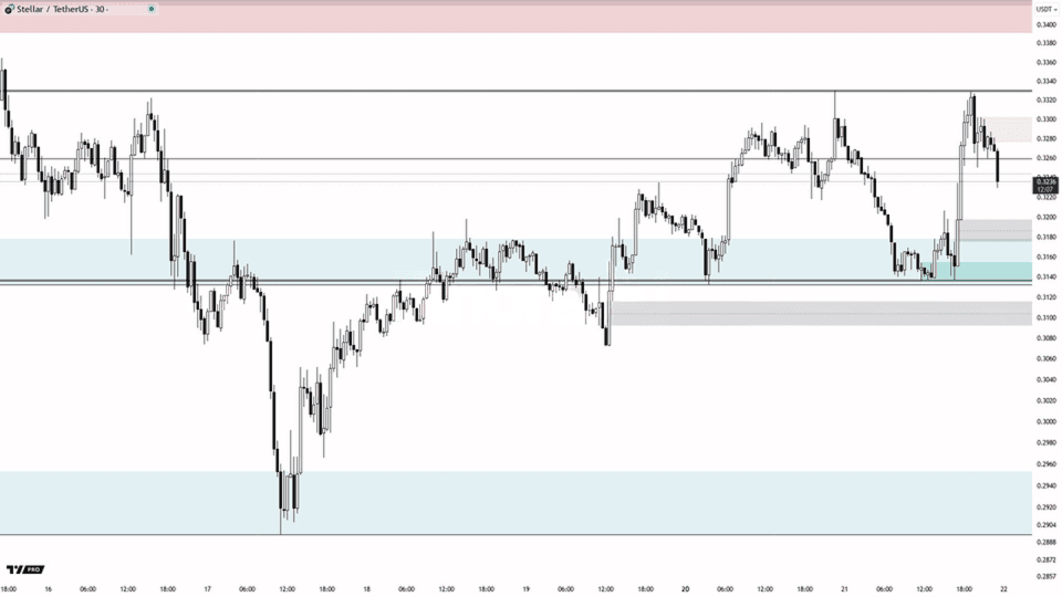 스텔라 차트 분석