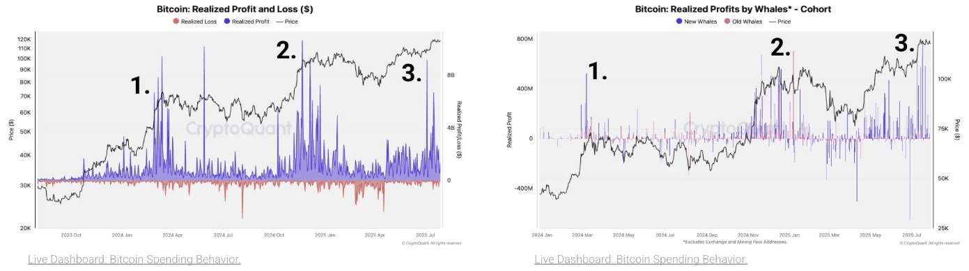 Đợt điều chỉnh gần đây cho thấy hoạt động chốt lời của cá voi
