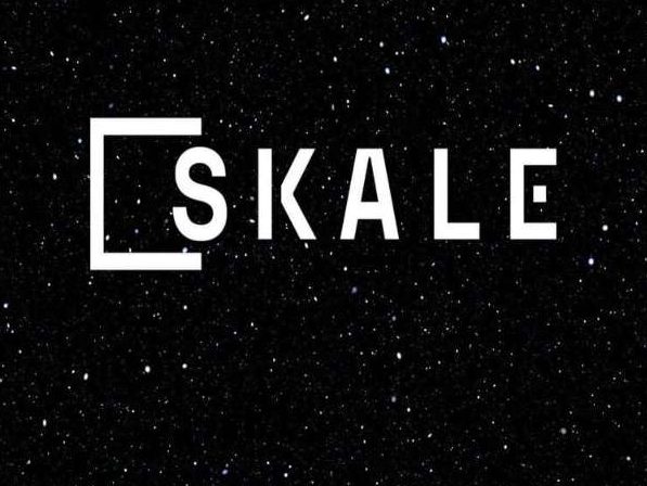 SKALE(SKL)仮想通貨とは？買い方や将来性・急騰理由を徹底解説