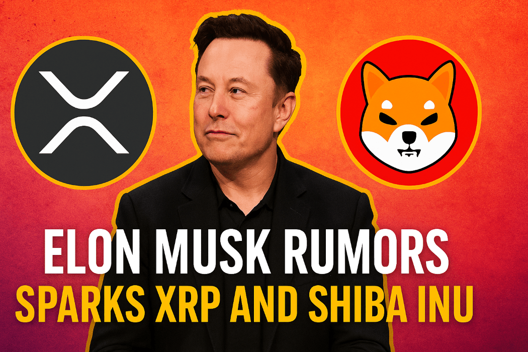 Elon Musk Sparks XRP Frenzy: What the Latest Rumors Mean for SHIB Investors in 2025