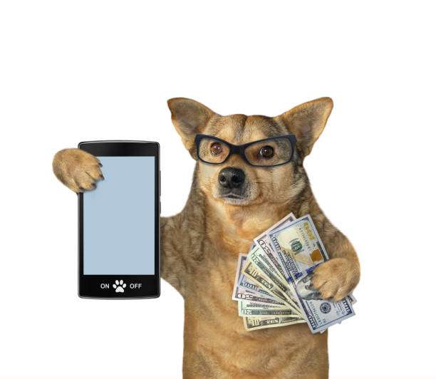 How to Start a Meme Coin Website and Attract Investors in 2025: Step-by-Step Guide for Beginners