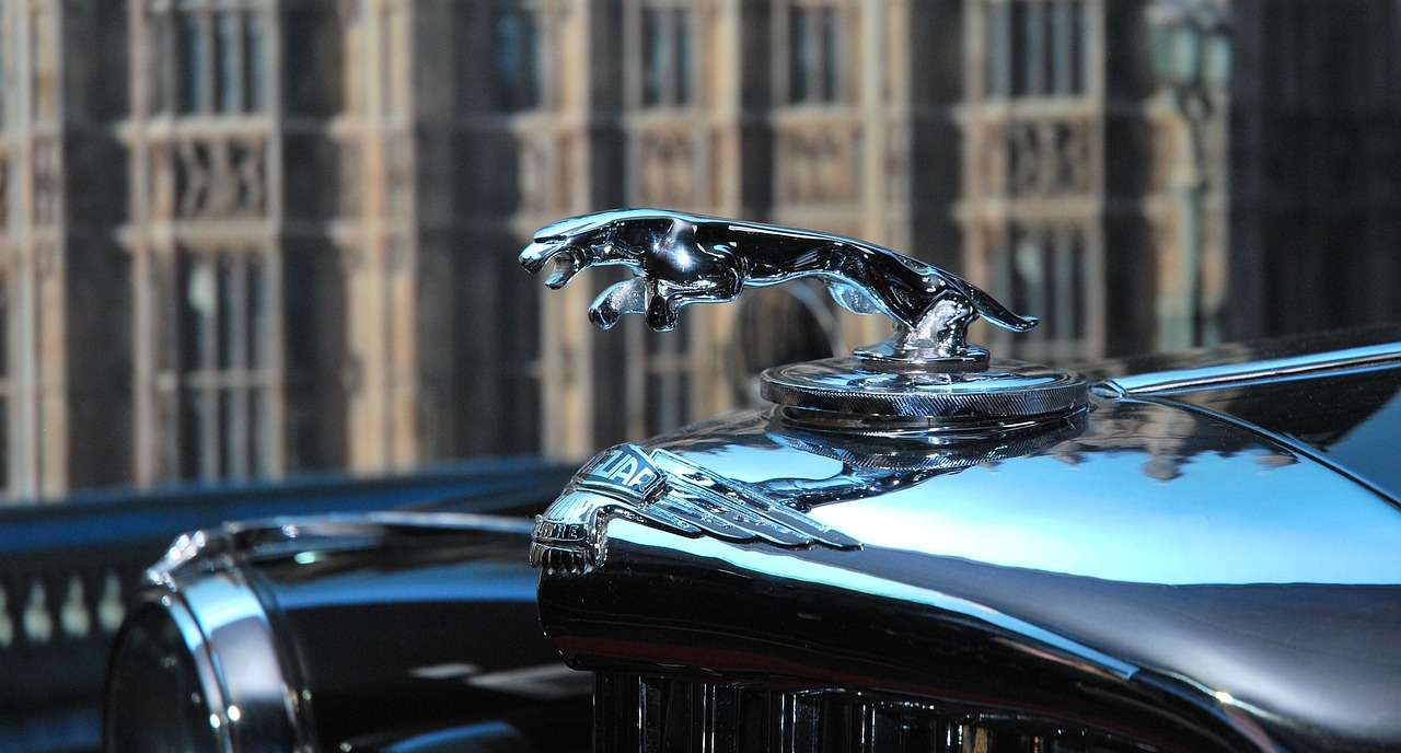who owns jaguar P.B. Balaji