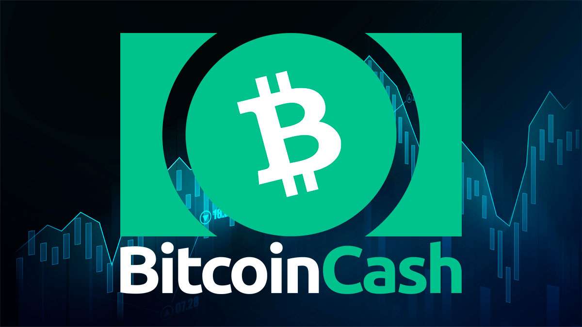 تحليل وتوقعات سعر بيتكوين كاش(عملة BCH) : ما هو سعر بيتكوين كاش حالي؟ هل يستحق بيتكوين كاش الشراء الآن؟