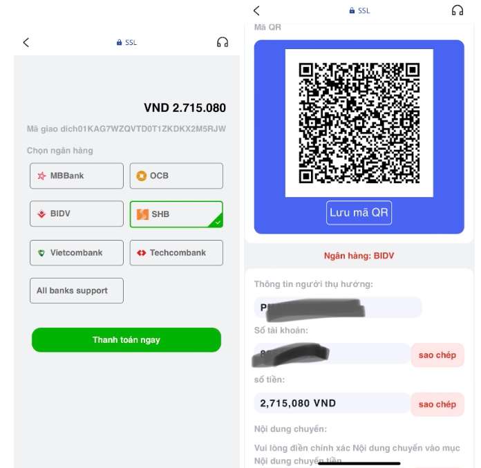 Chọn thẻ ngân hàng nội địa Việt Nam