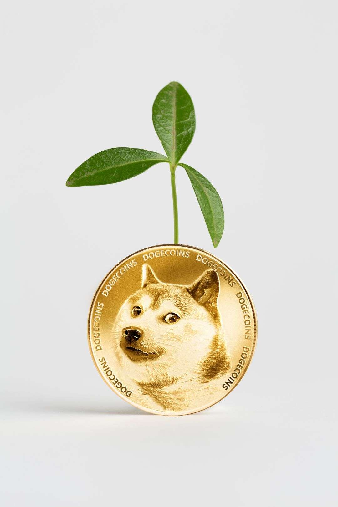The Truth About Dogecoin Prediction 2025-2030: Hype vs. Hard Data for the Next 5 Year