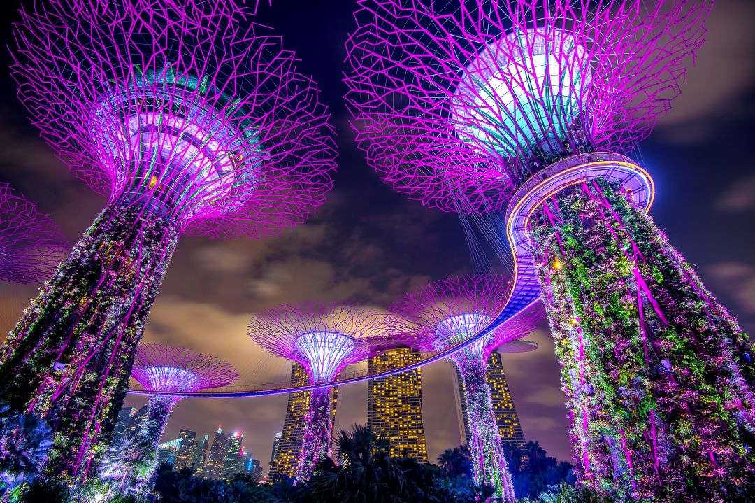 Why TOKEN2049 Is the Davos of Web3 | The Power Stage for Crypto Leaders, Investors, and Builders
