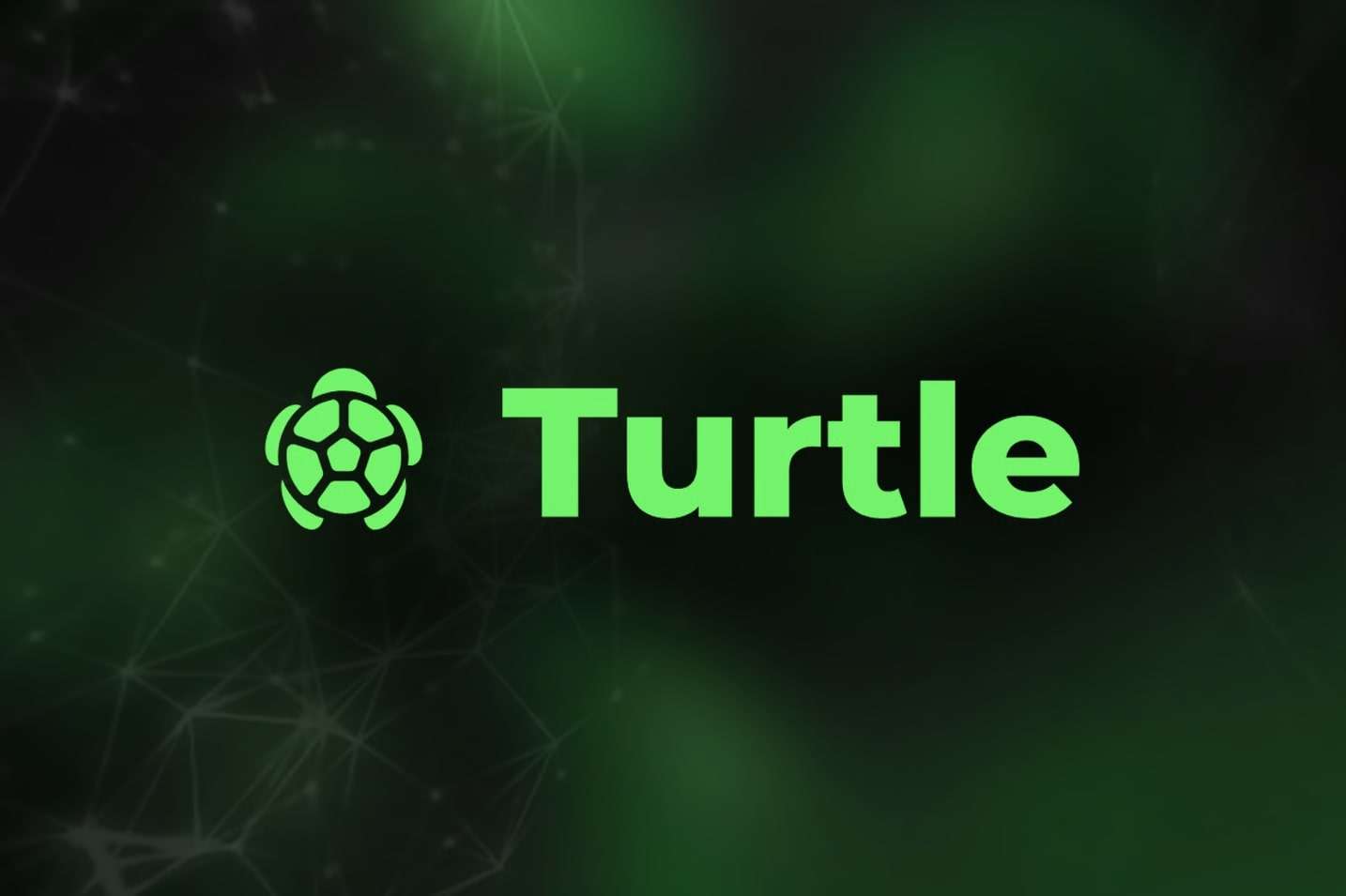 ما هو مشروع Turtle (عملة TURTLE)؟ وهل عملة TURTLE حلال أم حرام؟ وهل Turtle تستحق الشراء؟