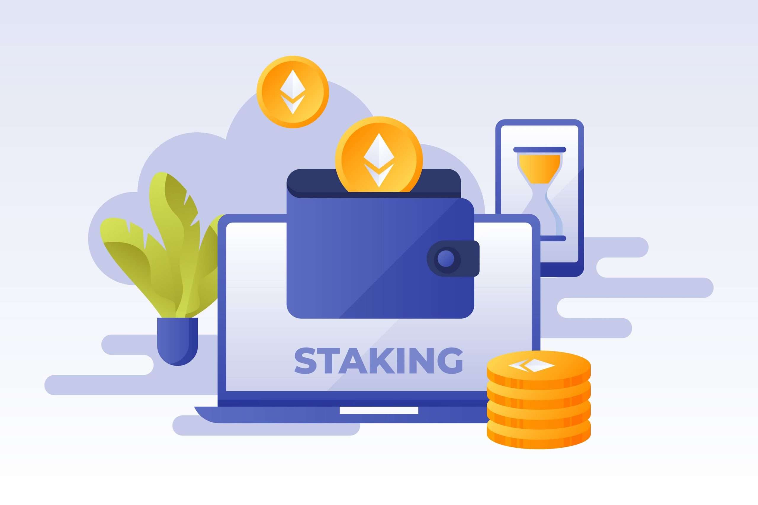 best non-custodial crypto wallet for trading and staking beginners