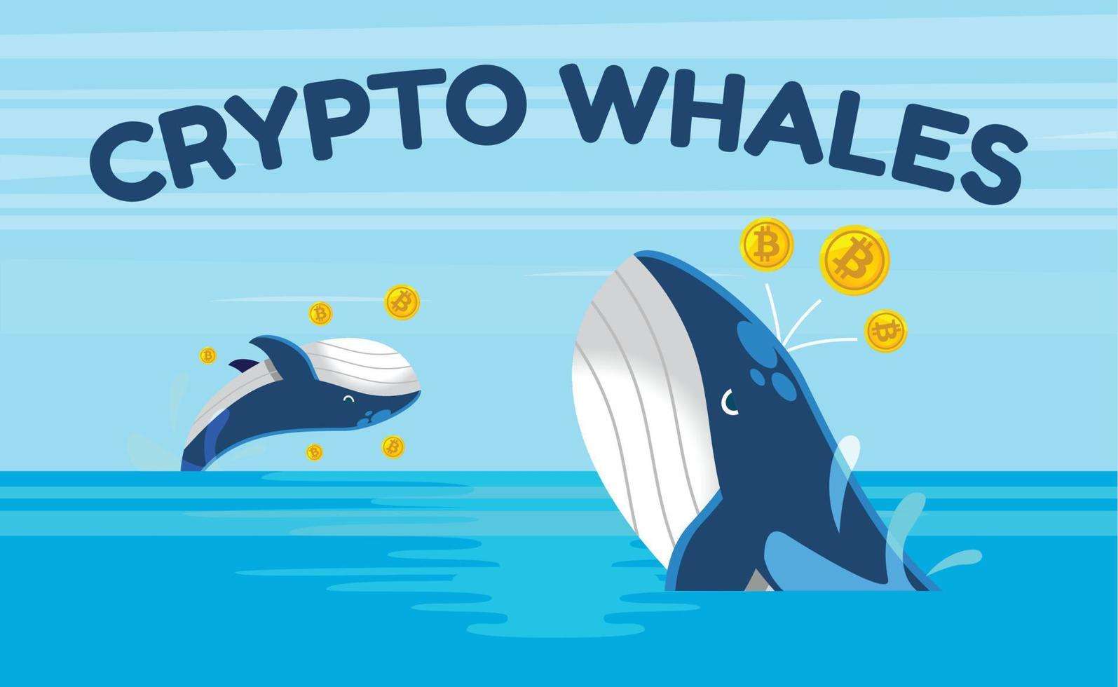 Baleine crypto : définition et outils pour les suivre pas à pas