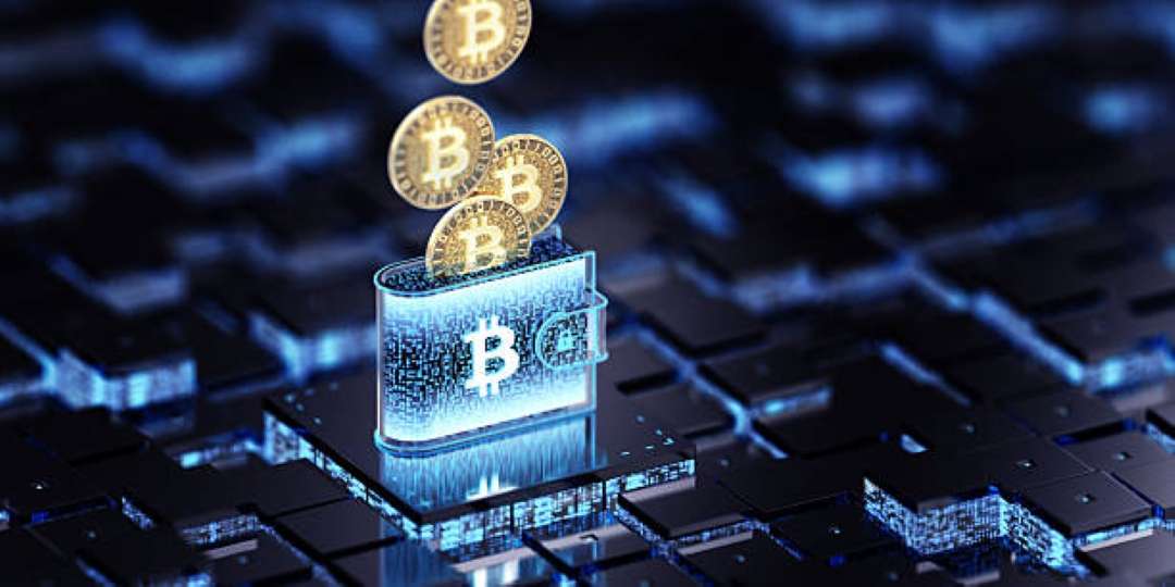 Latest Crypto Wallet Hardware Review: Cheapest, Most Secure Cold Wallets Ranked for 2025/2026