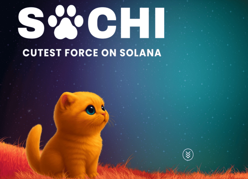 Sachi Coin(SACHI)이란? SACHI 코인에 대한 모든 것