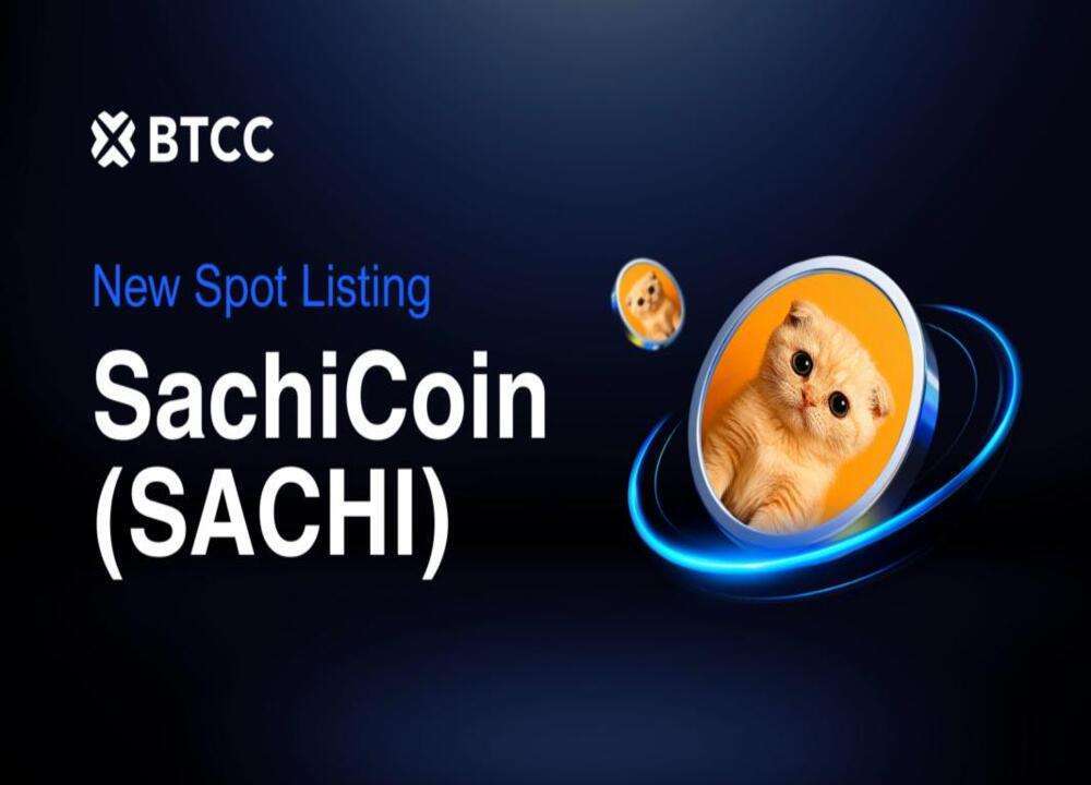 Sachi Coin (SACHI) Bewertung &#038; Analyse: Alles, was du darüber wissen musst