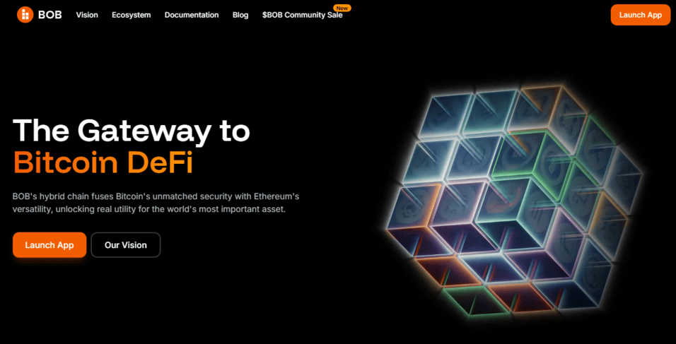 비오비 홈페이지