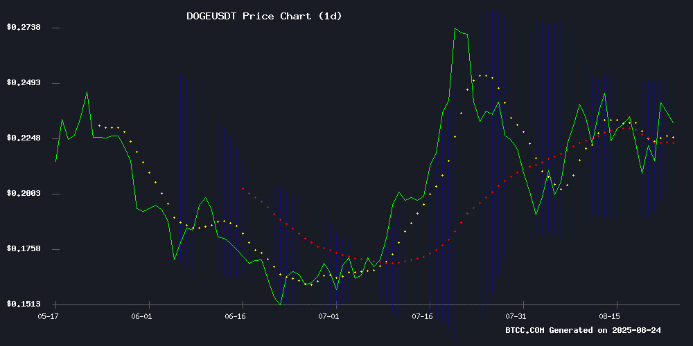 DOGEUSDT Technical Chart