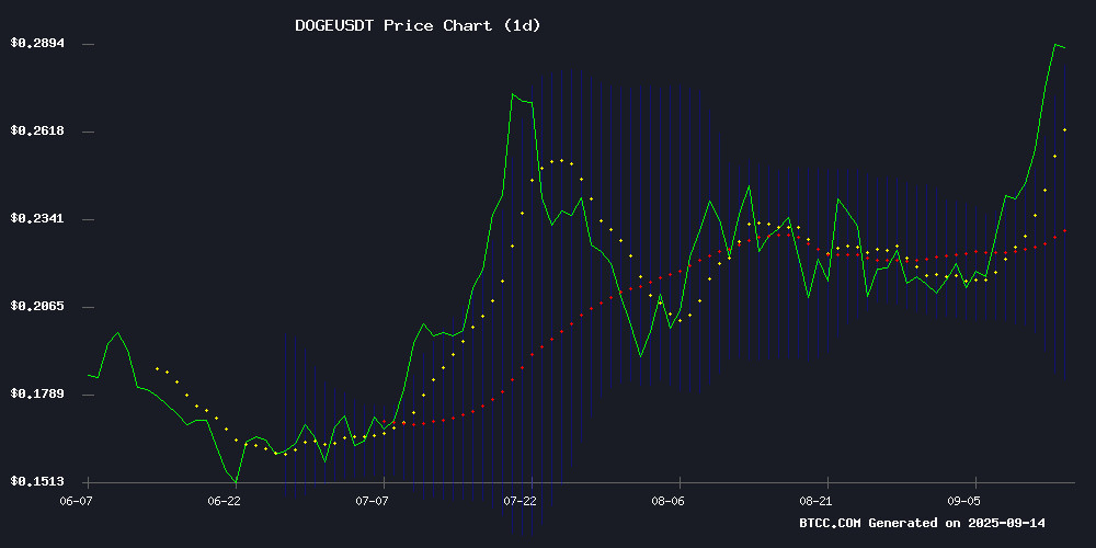 DOGEUSDT