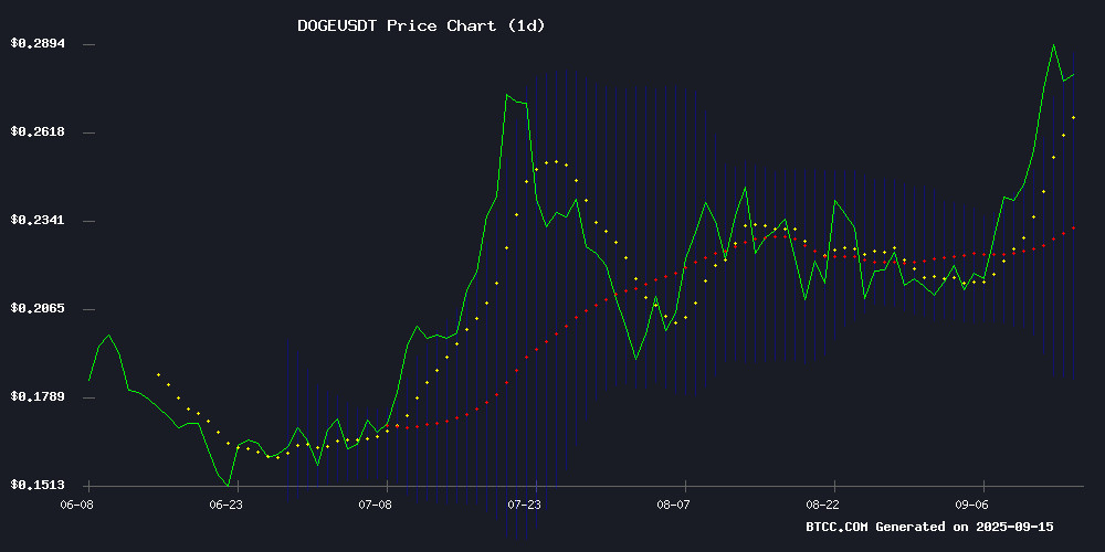 DOGEUSDT