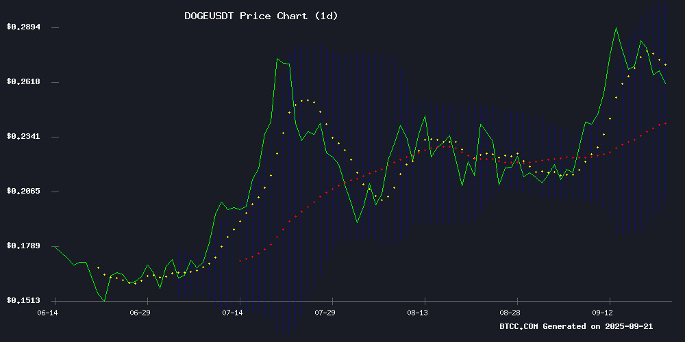 DOGEUSDT