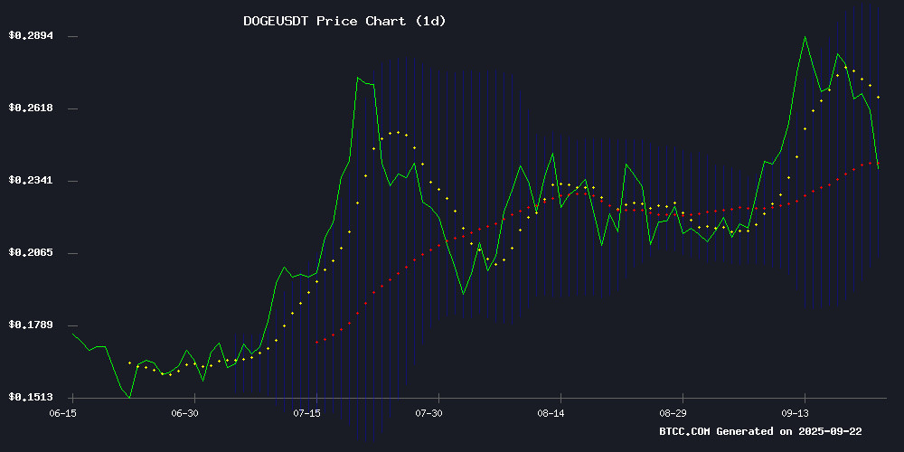 DOGEUSDT