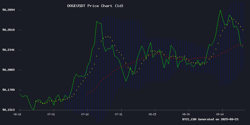 DOGEUSDT