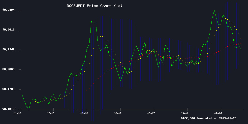DOGEUSDT