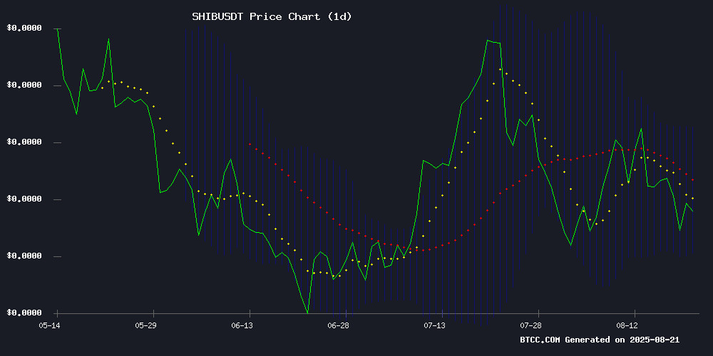 SHIBUSDT price chart August 2025