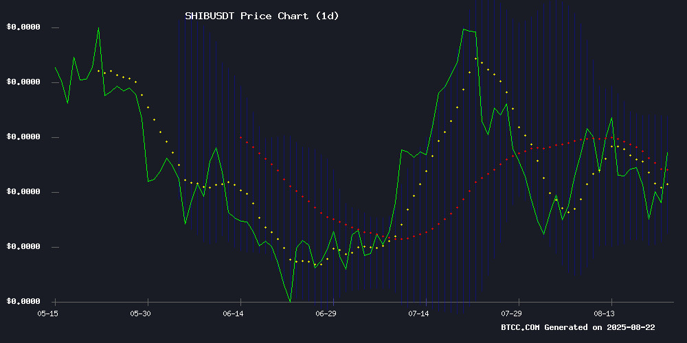 SHIBUSDT Price Chart August 2025